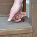 Hand using a black torx L wrench on a wooden surface